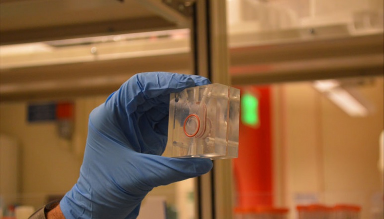 Gloved hand holding converter device