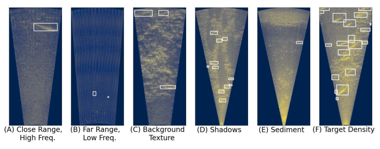 Six different images of salmon captured by an underwater camera