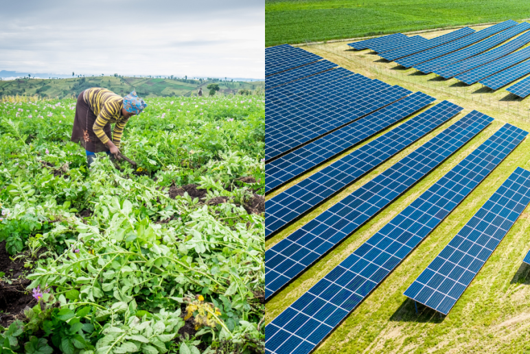 A split image showing an African woman farming in a lush field on the left and a large solar panel farm on the right.