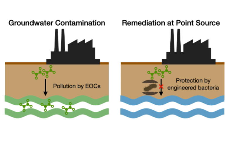The contamination of groundwater by emerging organic contaminants with the remediation using engineered bacteria at the point source.