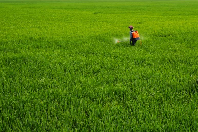 An individual spraying a large patch of grass