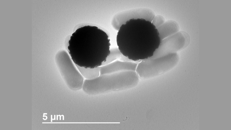 Two large black circular objects nestles between cylindrical grey objects