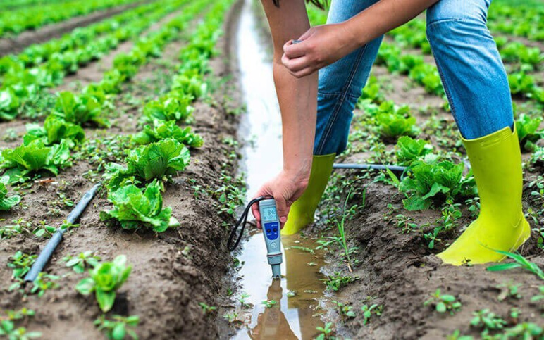 An individual wearing work boots testing water in an agricultural plot