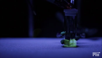 short movie clip of research