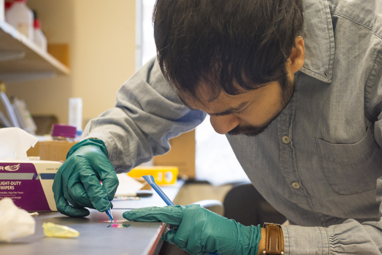 Graduate student Devashish Gokhale bends over an experiment, wearing rubber gloves in the lab