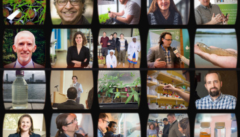 20 small, square images of projects and people featured in the article. 