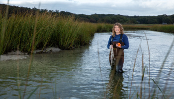 A woman is standing in the water in a salt marsh