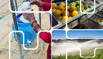 a collage of images of a water filtration device, fruit in a store, and cropland being irrigated, all in a pattern with white lines randomly cutting through