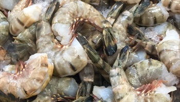 Shrimp piled on top of each other