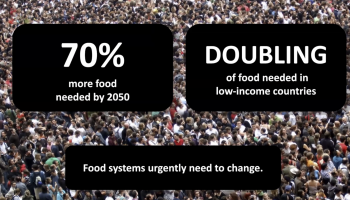 Large crowd seen from above