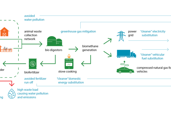 Diagram showing life cycle of animal waste on small farms