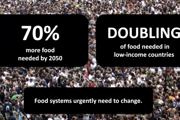 Diverse crowd seen from above