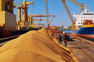 A large freighter ship docked next to another one with a pier full of grain in between them