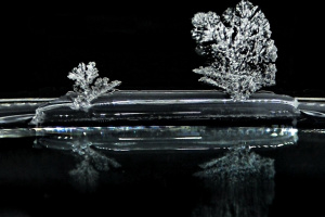 Salt crystals against black background