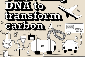 The "What if it works?" podcast logo