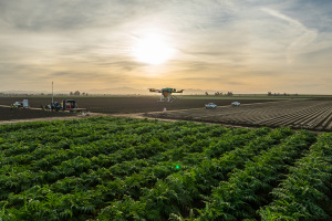 A drone hovering over an agricultural plot
