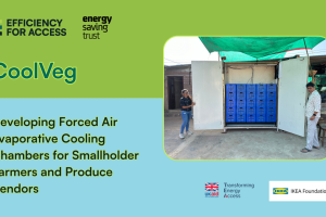 A green and blue flier for CoolVeg