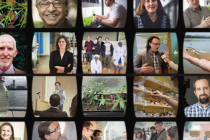 A collage of smaller photos of individuals and landscapes