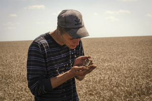 Person standing in a field of grain blowing grain out of their hands