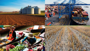 This is a collage of four images: the first image on the top left displays a large agricultural field with large silos, the second image on the bottom left displays local vendors selling crops, the third image on the top right shows large cranes in a shipping yard, and finally the fourth image on the bottom right highlights dry soil with crops growing. 