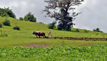 A farmer prepares forest land for farming.