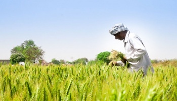 A smallholder farmer tends to his fields