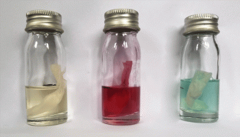 ECC Vial test kit in action