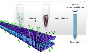Cartoon depiction of arsenic chelation
