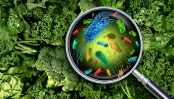 Illustration of a magnifying glass showing bacteria on a background of green vegetables.