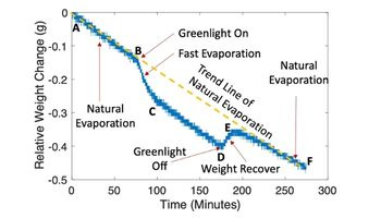 Graph that shows photomolecular evaporation from the pure water surface