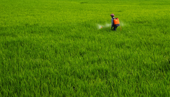 An individual spraying a large patch of grass