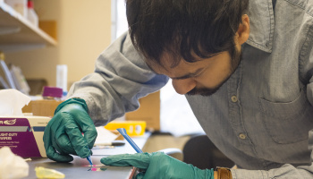 Graduate student Devashish Gokhale  bends over an experiment, wearing rubber gloves in the lab