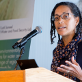 Professor Erica James speaks at a podium in front of a J-WAFS poster